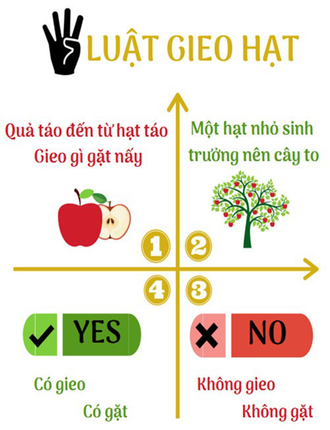 4 quy luật Nhân Quả theo kiến thức của Năng Đoạn Kim Cương - DCI Việt Nam